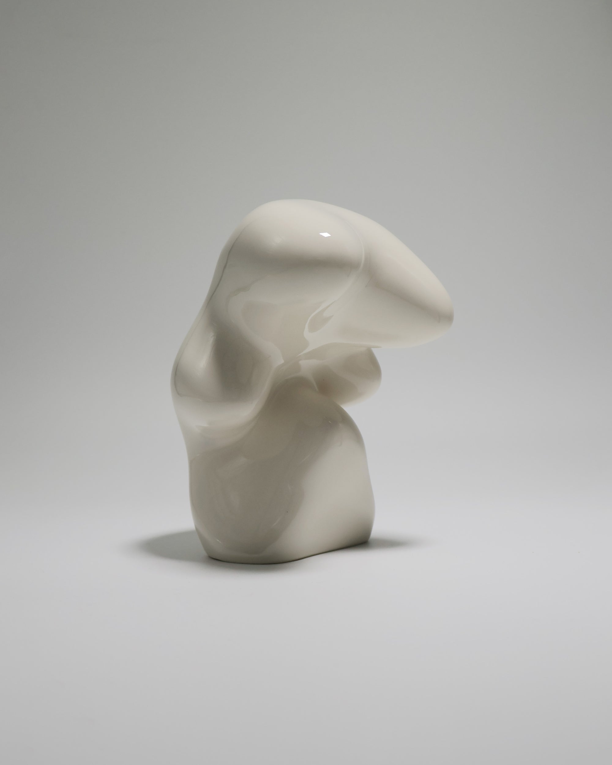 BULTO 02-Bone