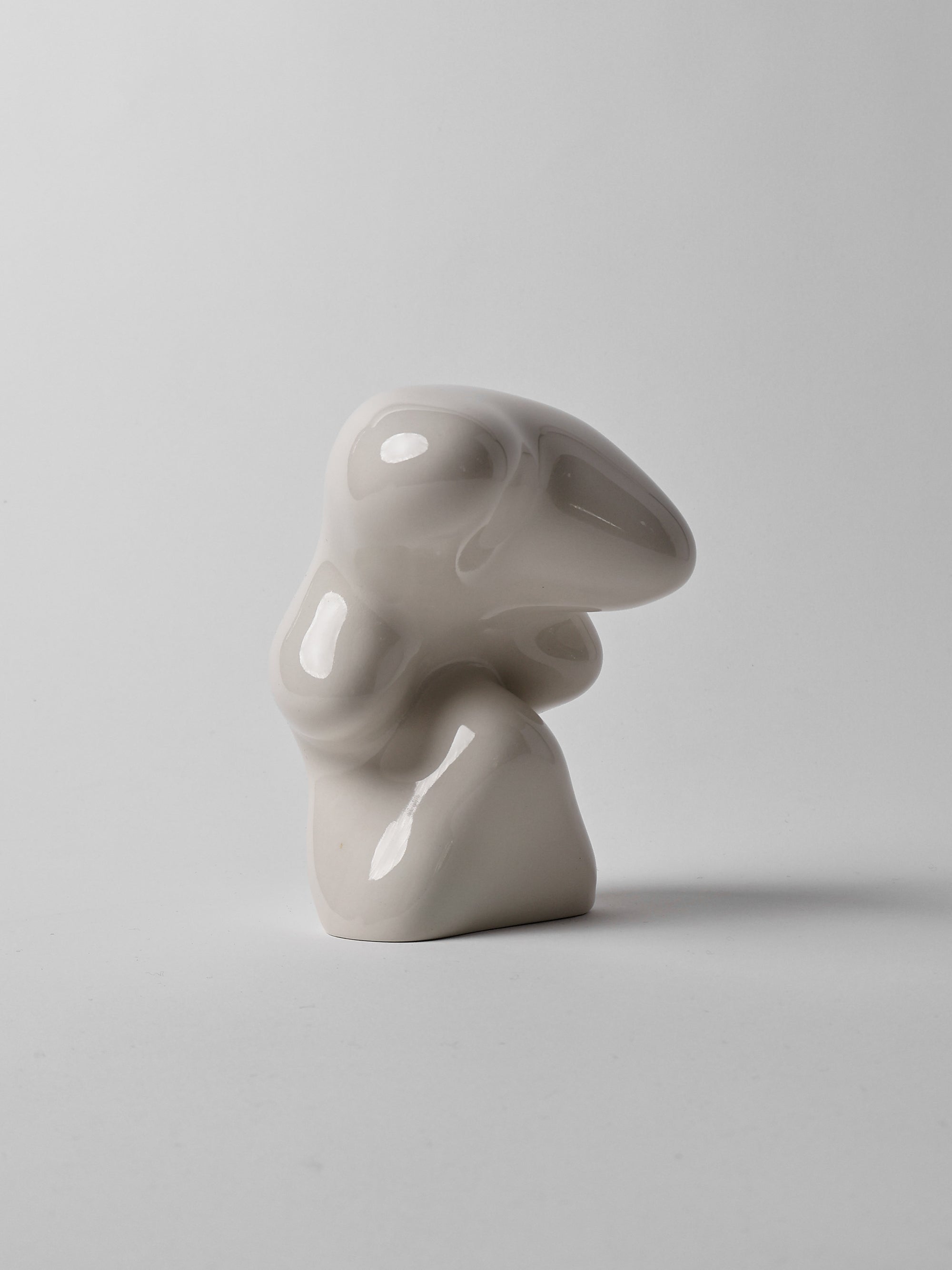BULTO 02-Crudo