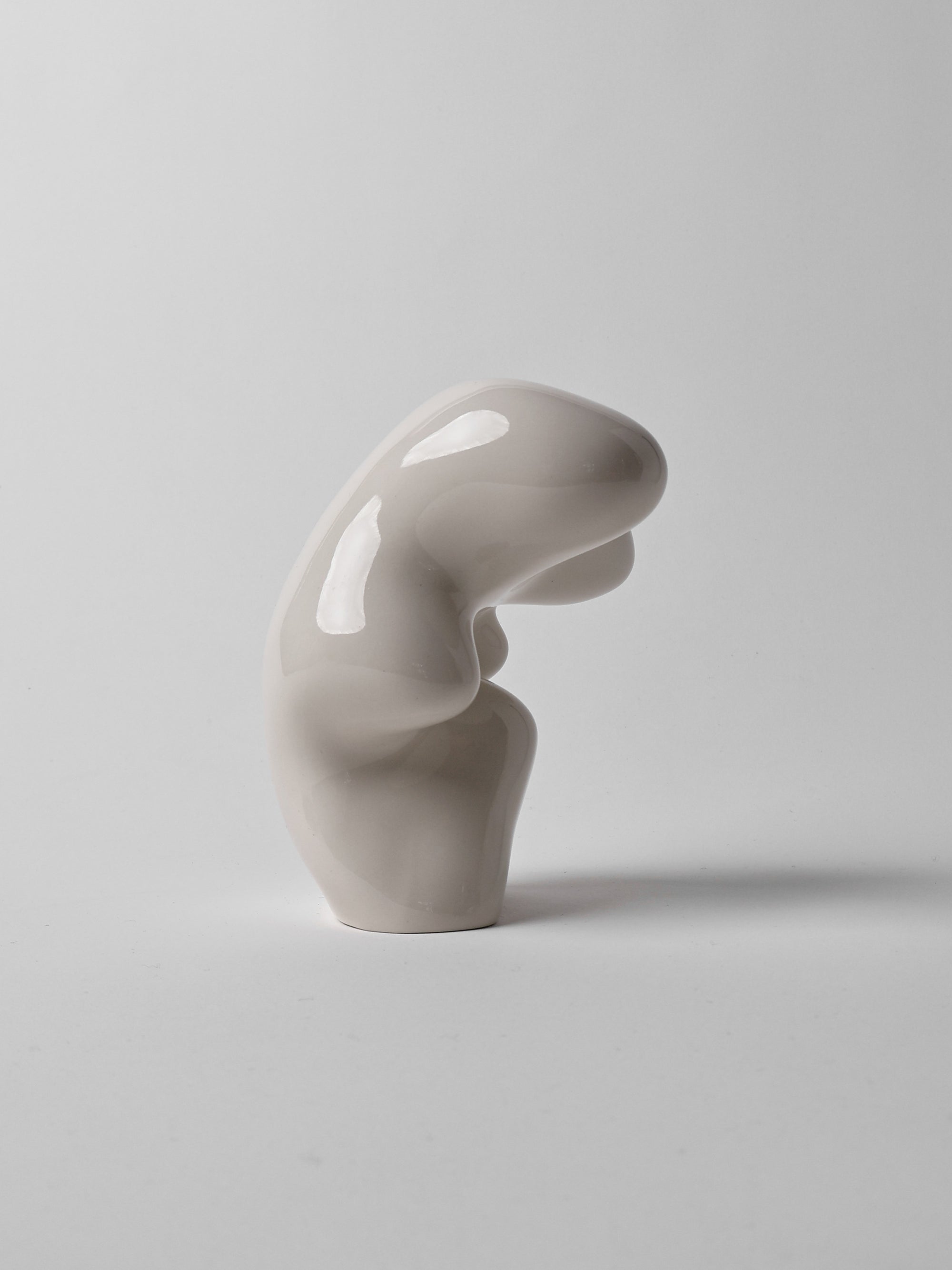 BULTO 02-Crudo