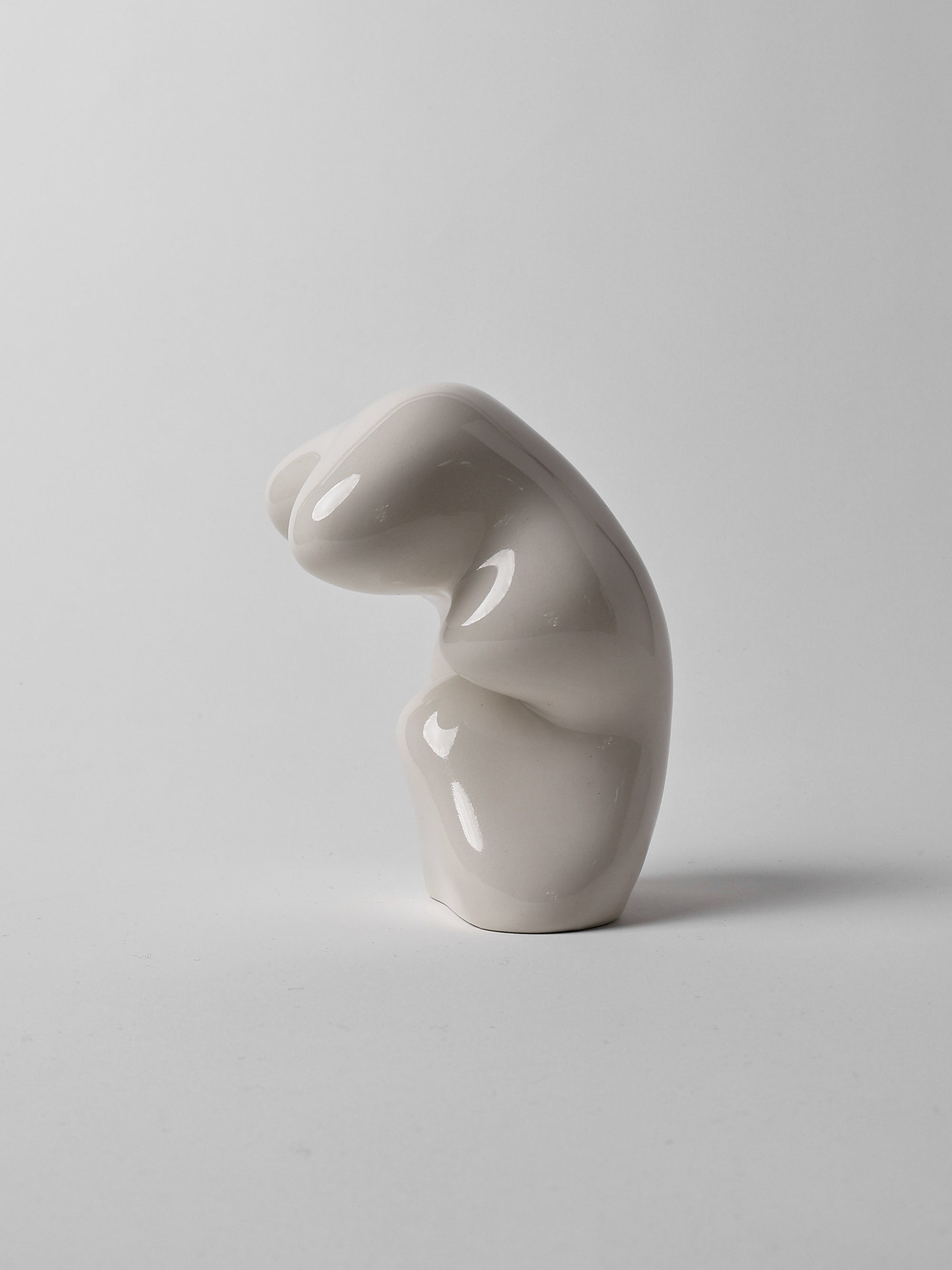 BULTO 02-Crudo