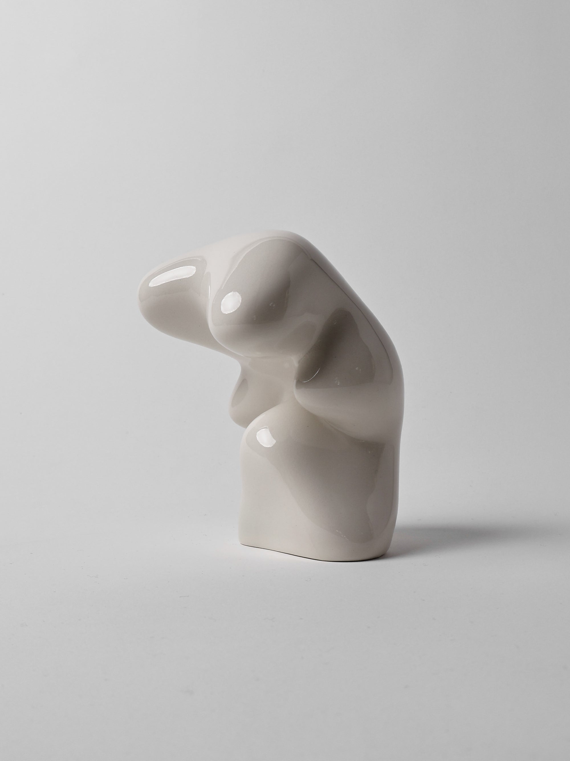 BULTO 02-Crudo